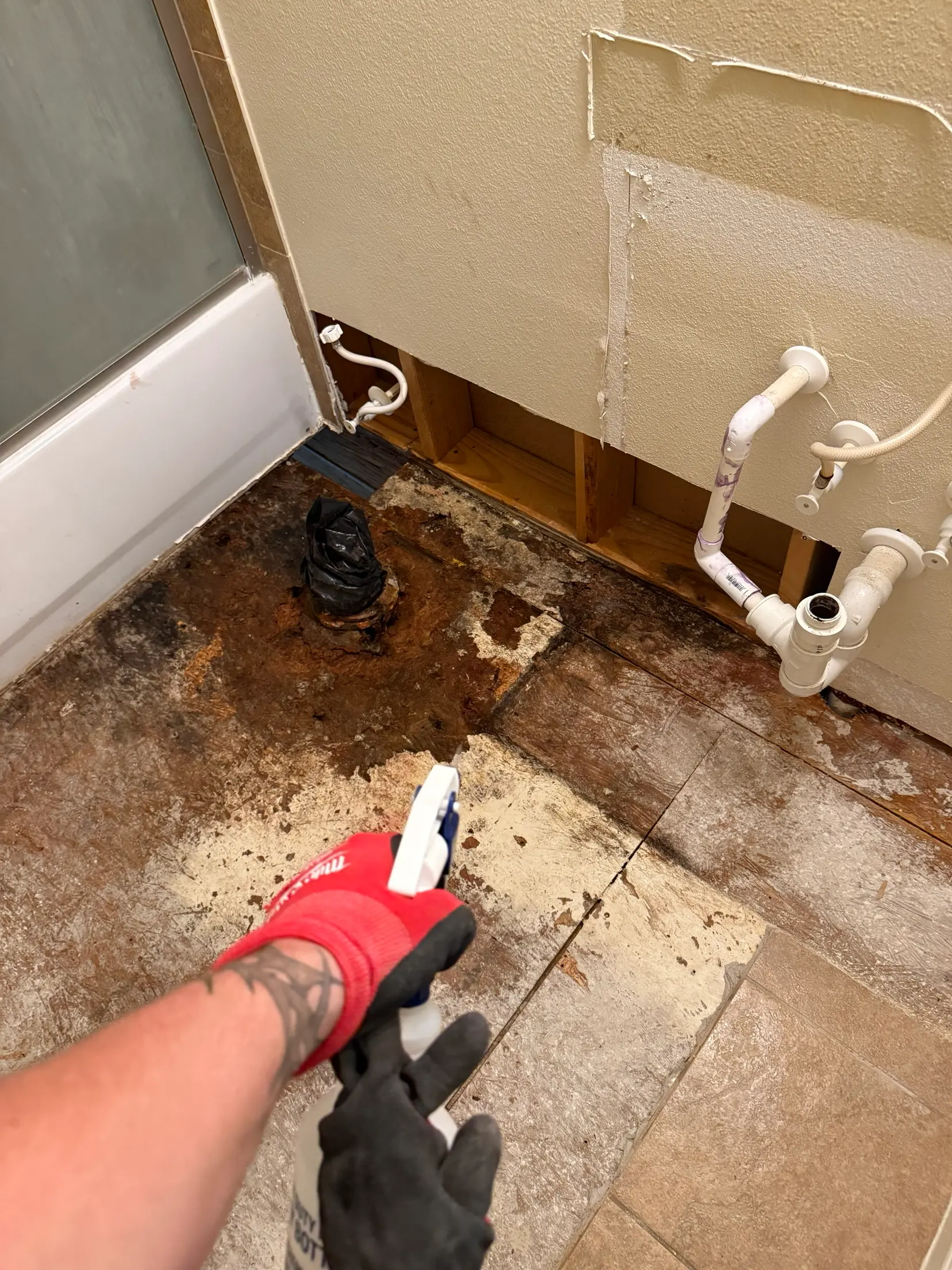 A gloved hand spraying antimicrobial onto a bathroom subfloor stained dark around an exposed toilet flange, with vanity plumbing and cut-back wall board visible behind.