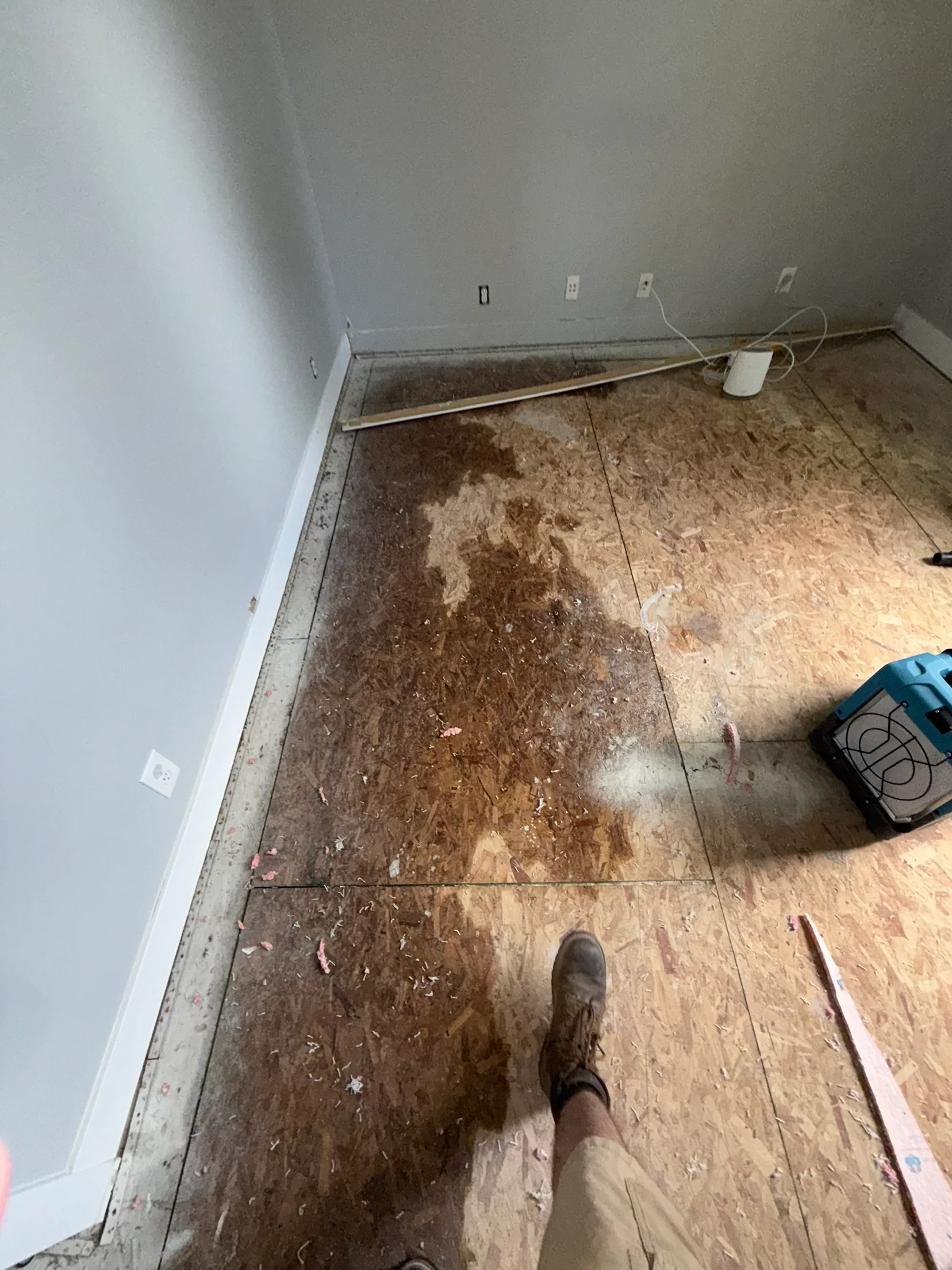 A stripped bedroom floor showing dark water staining spreading across OSB subfloor panels, with a blue air mover running in the corner.